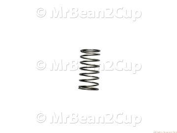 Gaggia Espresso Pure and Color Spring for Group Valve