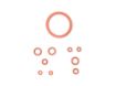 Picture of Gaggia Saeco Gasket Kit (Gaggia Platinum range,Unica,Saeco Talea and Odea range)