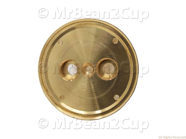 Picture of Gaggia Manual Shower Disc Holding Plate - GRADE B - Minor Scratches and Cuts