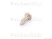 Picture of Gaggia Classic Funnle Self-T. Screw 3.5x9.5 Nickel Plated