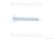 Picture of Gaggia Saeco Screw TCB Torx 20 M4x30 ZN-B