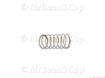 Picture of Gaggia Saeco Spring for Water Container Valve (Gaggia Titanium)