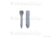 Picture of Seaco Vienna,Gaggia Syncrony Digital Grey Pannarello Frother
