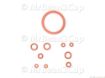 Picture of Gaggia Saeco Gasket Kit (Gaggia Platinum range,Unica,Saeco Talea and Odea range)