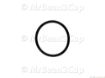 Picture of Gaggia Factory G105 and G106 Gasket for Group Jacket
