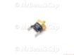 Picture of Steam Temperature Switch L145  M4