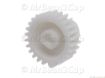 Picture of Gaggia, Saeco, Philips White Steam/Water Gear Z=26 P0057