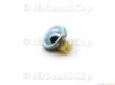 Picture of Delonghi Regulator