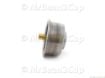 Picture of Delonghi Boiler Lower
